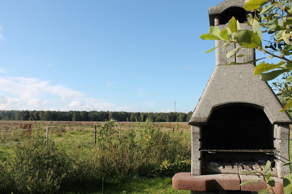 Strandhaus Glowe Rum bild