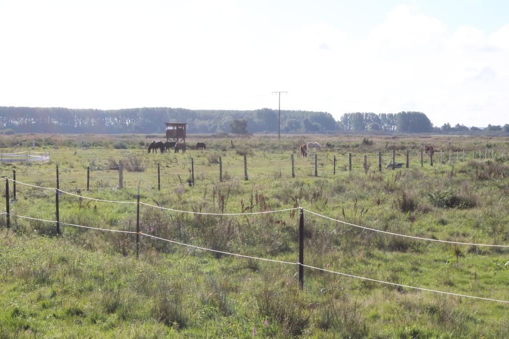 Strandhaus Glowe Rum bild